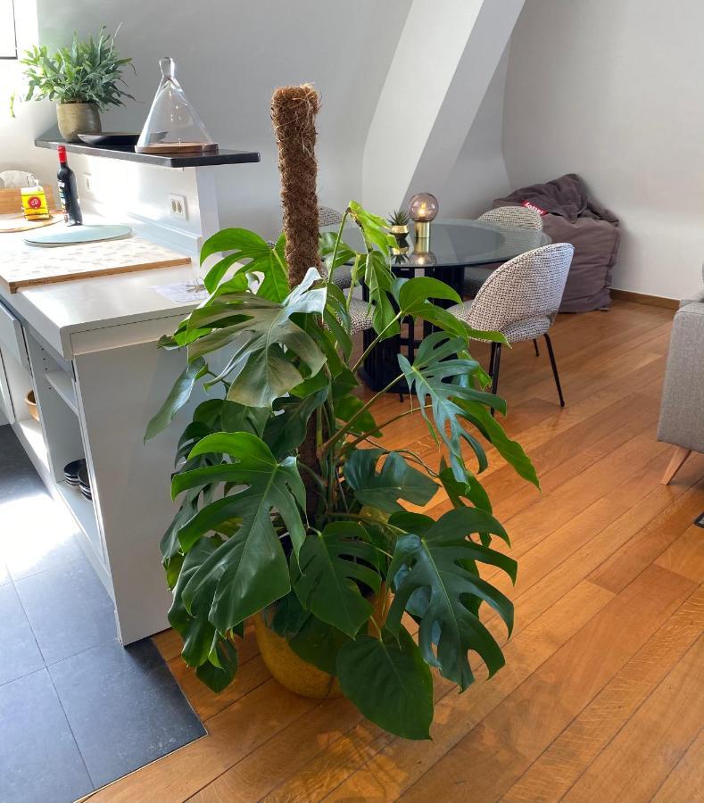 Definitief Gesloten Apartman Ostende Kültér fotó